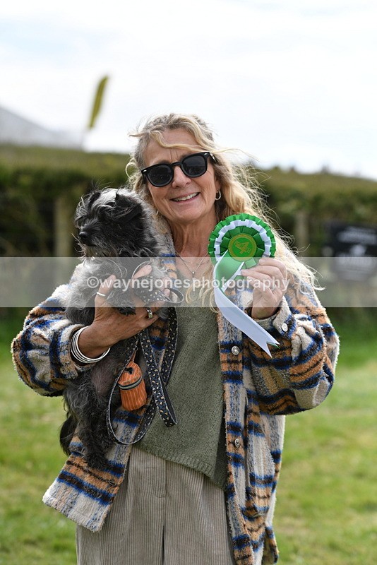 WJ5_9881 - Class 3 Most Handsome Dog