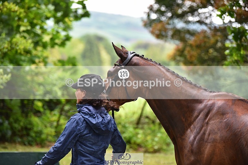 240522-152400-00312 - 329-GLOBAL_AMARETTO-Charlotte_Agnew