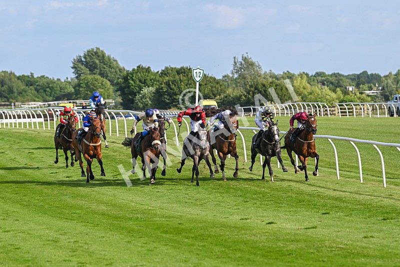 100625-Race 3-Stellarmasterpiece-6799 - Race 3