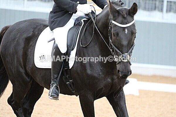 SIAL9704 - GDG Bogenraith Friday 26th Sept 2025