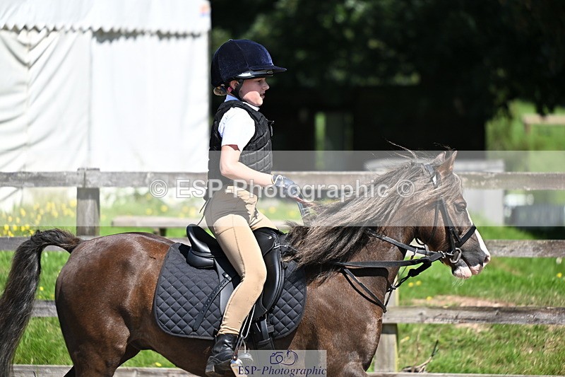 240729B-113659-02458 - Showjumping Competition