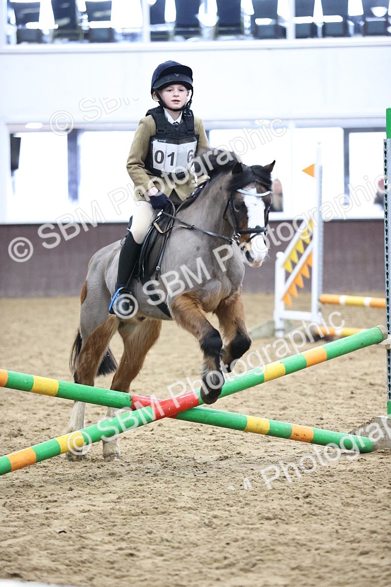 SBM_000586 - Class 2 - 50cm