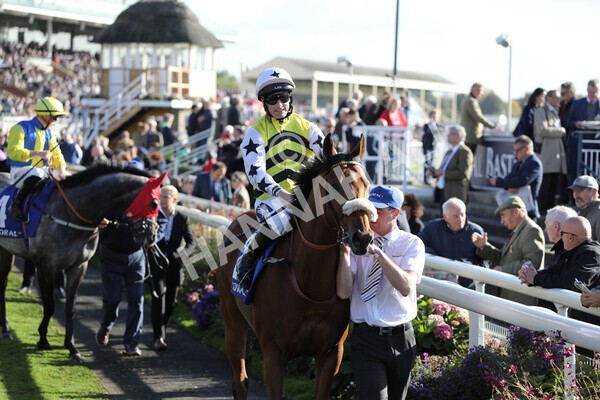 yr08102022r4-16 - Race 4 3.15pm The Coral Sprint Trophy