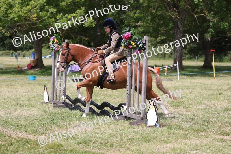 20260614-1935 - Class 21 - Novice Working Hunter Pony