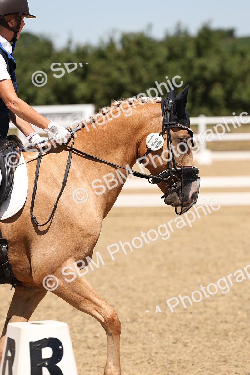 SBM_002224 - Elementary 4 Warm Up