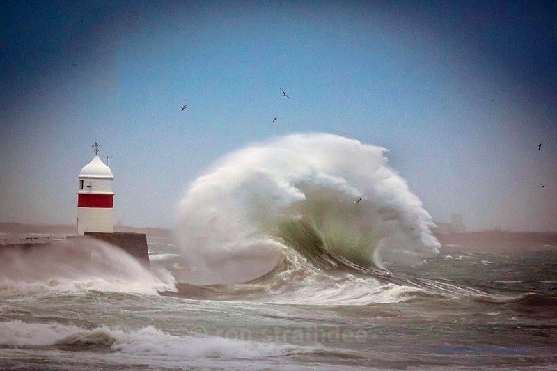 Waving Wave - Sea of Man