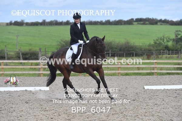 BPP_6047 - NOVICE TEST 4 + 6 LONG ARENA