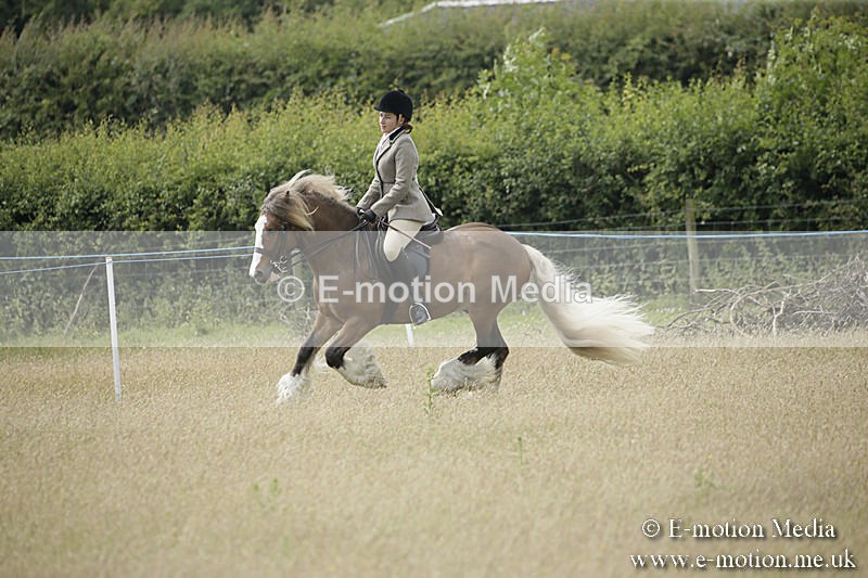 B230619-0442 - Bourne Valley Riding Club Summer Show 23/06/19
