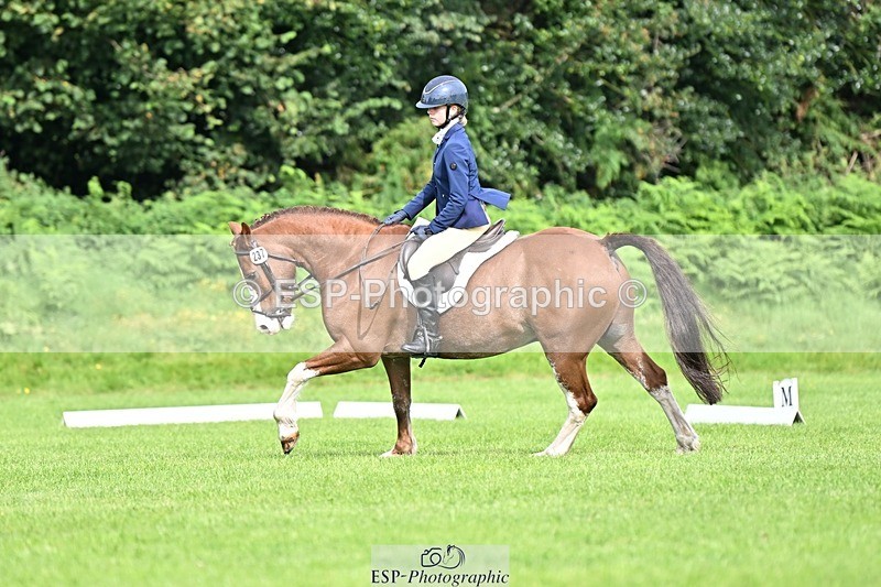 230826-100536-16362 - Sections A & B 10 to End