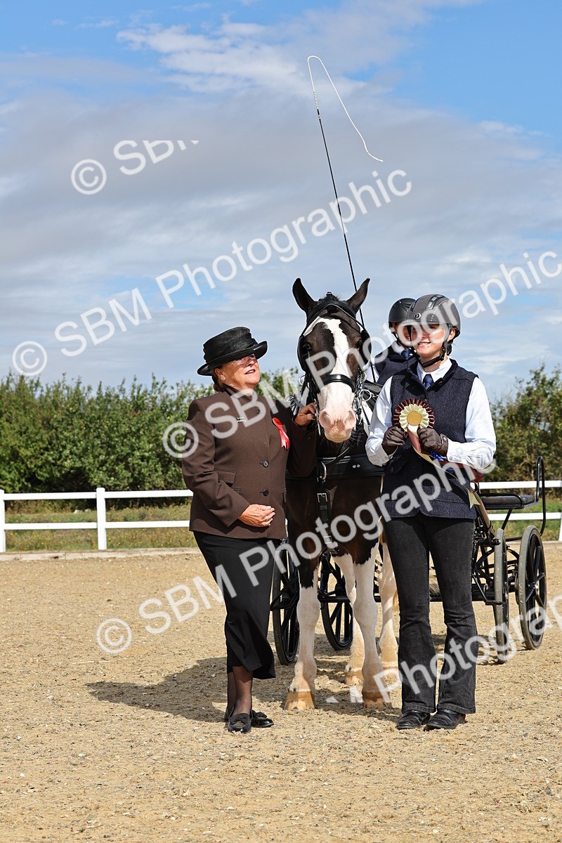 SBM_000955 - Class 8 - Novice Horse or Pony to any vehicle