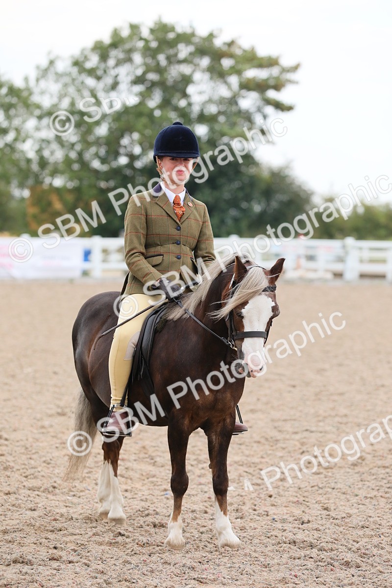 SBM_18186 - Class 316 Best Pony/Rider Combination