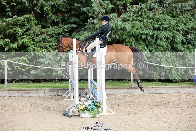 240823X-164917-19930 - 70cm Single Phase All