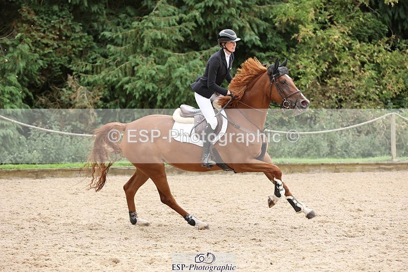 240817-155625-02813 - 06A Snr Fox 1.20m open