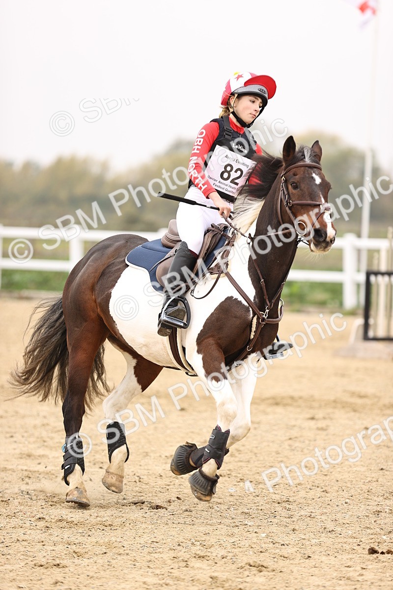 SBM_002435 - Class 2 - 80cm