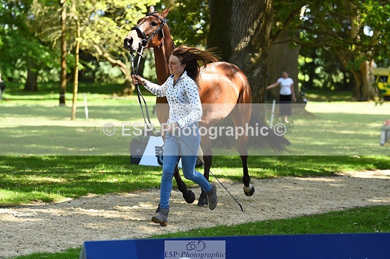 230524-153050-00318 - 373-BENGAL_LORE-Pippa_Taylor-WEDTrotUp+DR