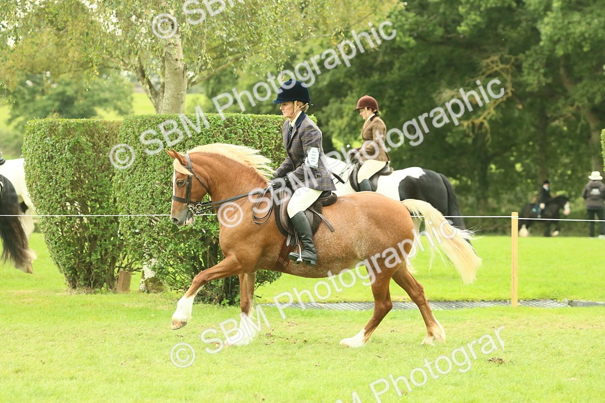 SBM_72084 - S60 - Mountain & Moorland Ridden Large Breeds