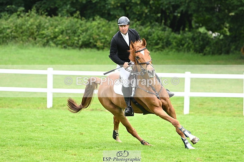 250615A-083917-09233 - Cls 35 Foxhunter