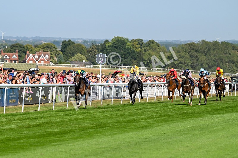 130825-Race 5-Bell Shot-8857 - Race 5