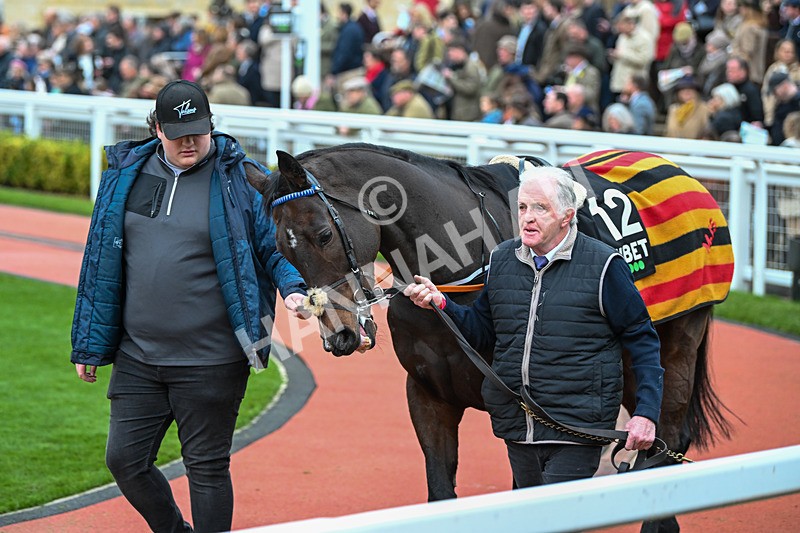 171124-Race 5-Paddock-Napper Tandy-3658 - Race 5