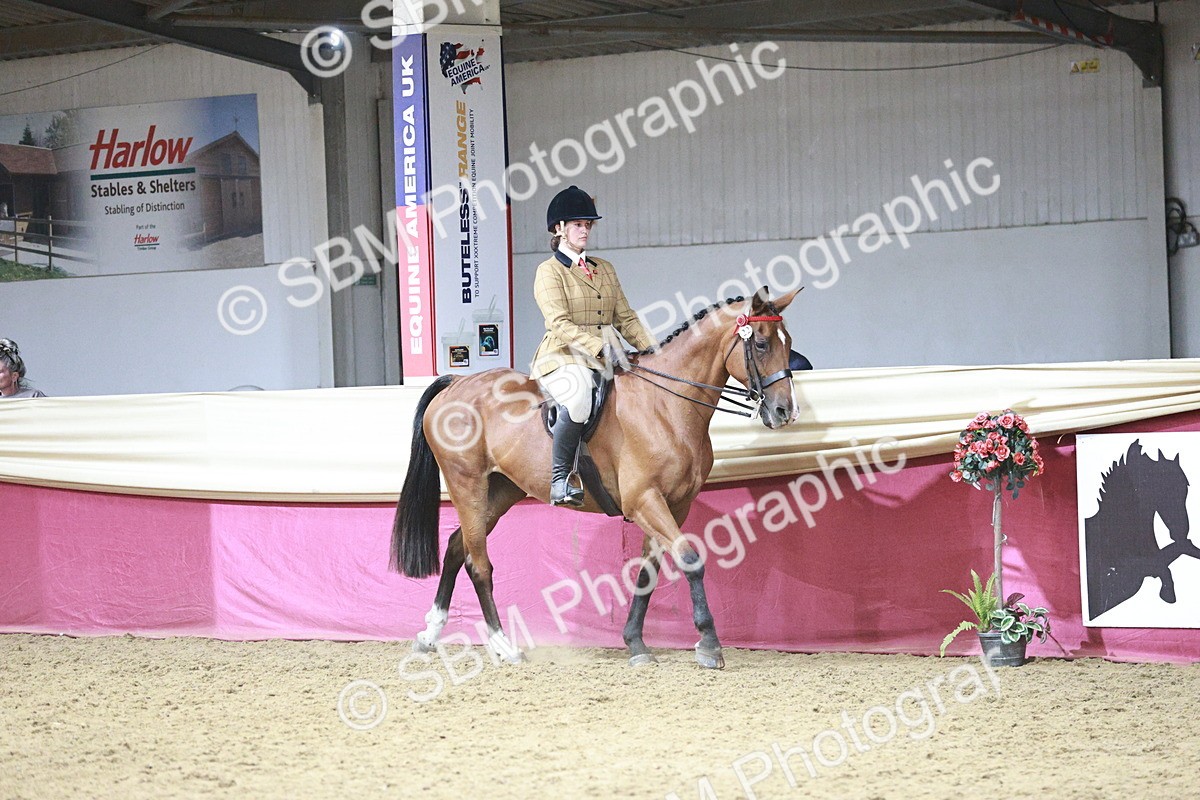 SBM_07997 - Class 11R - Regional Ridden Veteran