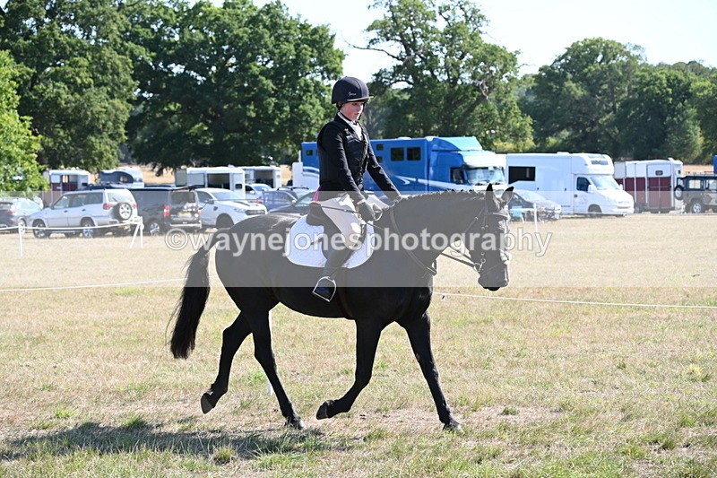 WJ6_7524 - Class 34 Judges Choice
