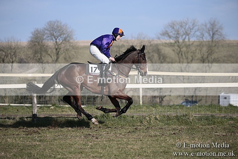 PtP 240218 335 - Vine & Craven Hunt Point-to-Point Barbury racecourse 24/02/18