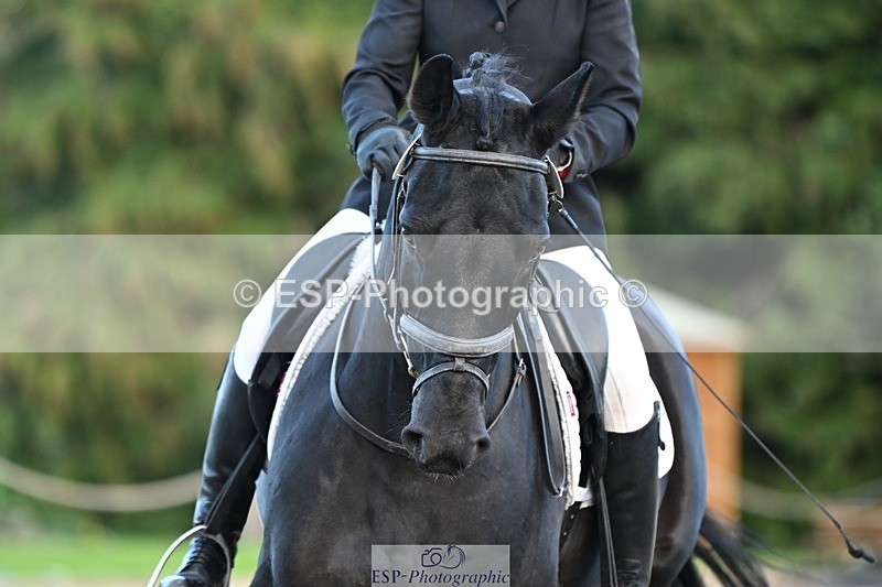 231110-134536-01045 - Cls 4 Novice 39Q