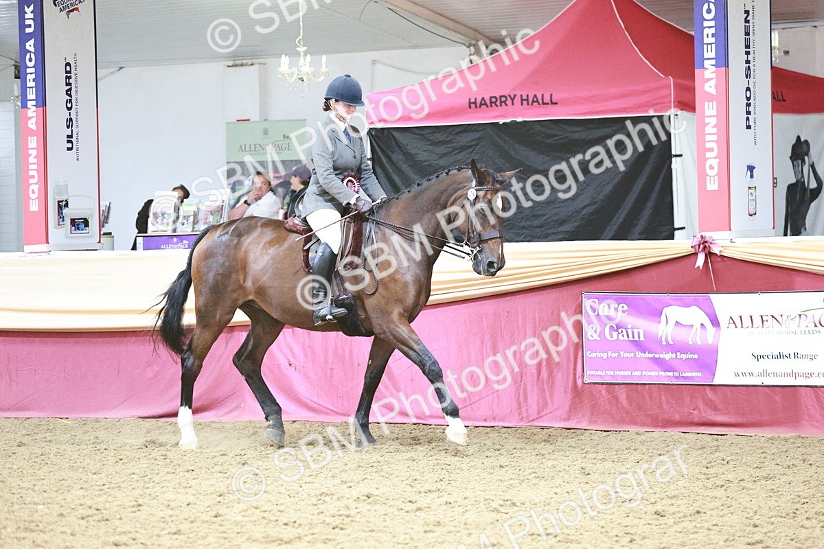 SBM_08650 - Regional Ridden Champ