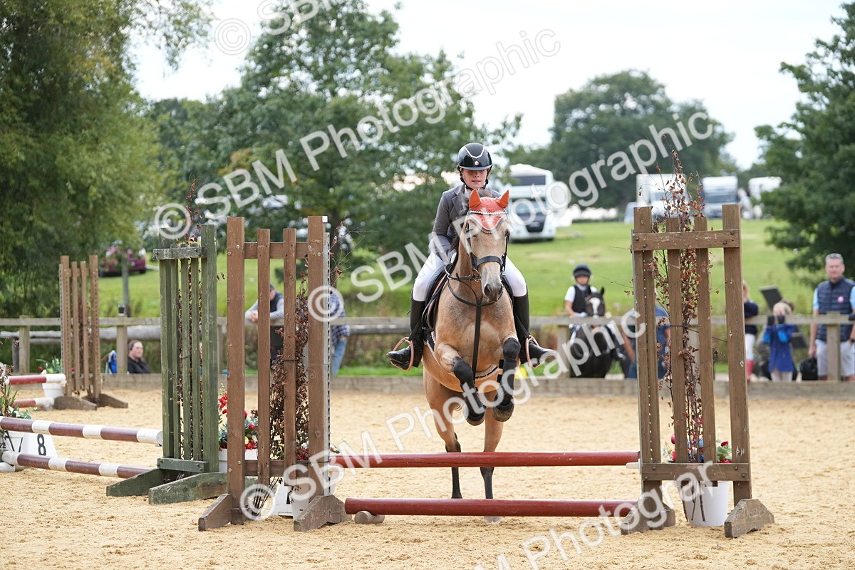 SBM_74756 - J4 - Mini Tour Junior Pony 45cm Championship