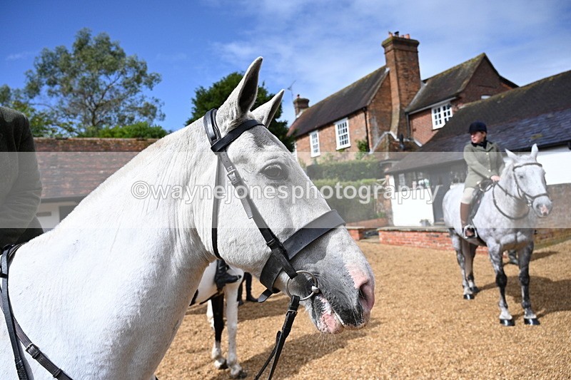 WJ7_7021 - Berks & Bucks at Blandy’s Farm 31-08-25