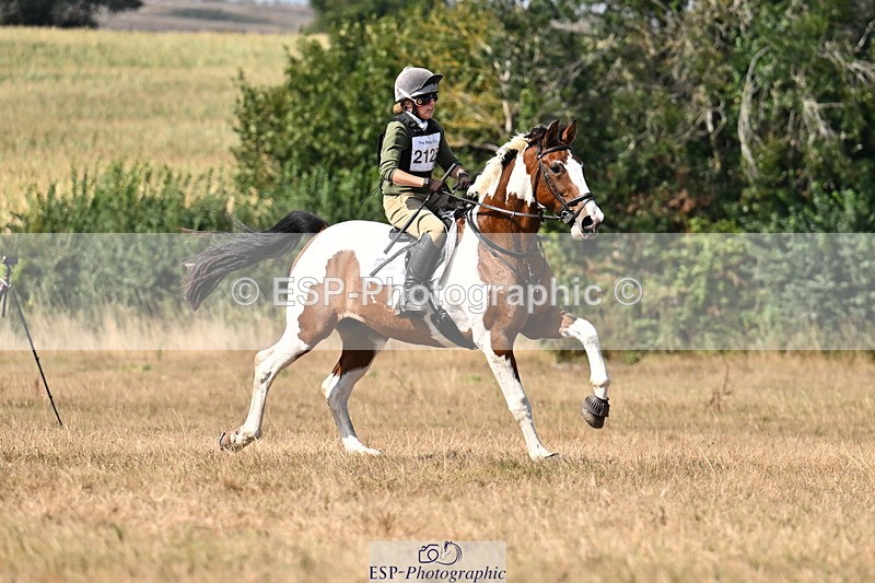 250824A-143627-37817 - 2125-Hen.Jeanes-Painted.proper