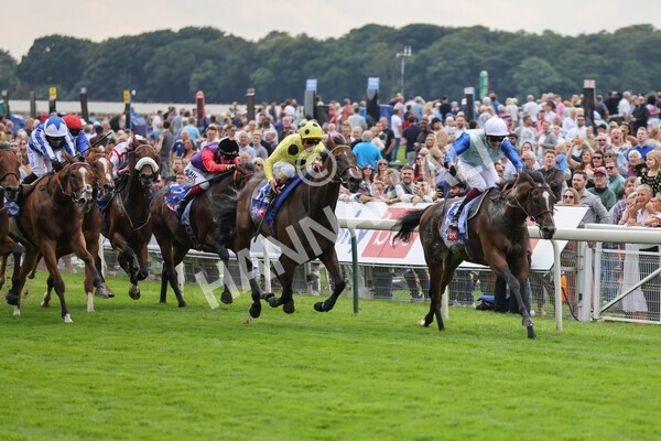 yr20082021r1-13 - Race 1 1.50pm Sky Bet Stakes