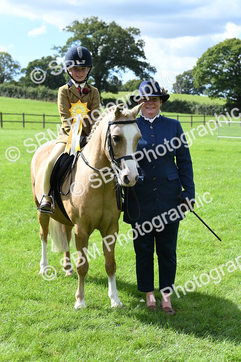 SBM_41273 - S19 - Lead Rein Show & Show Hunter Pony