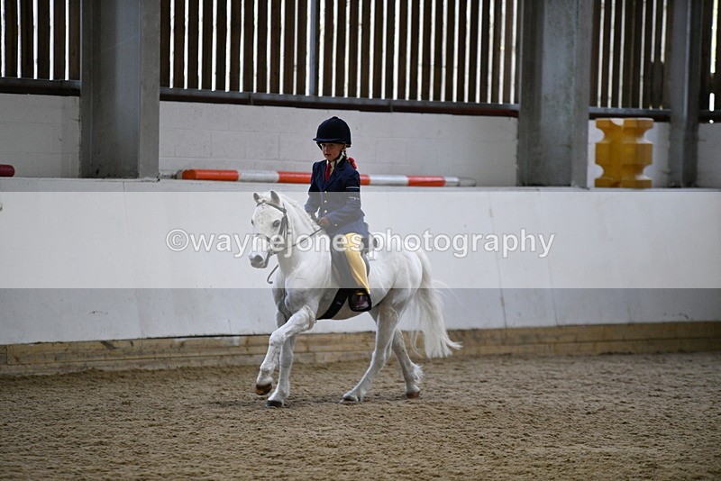 WJ5_7213 - Class 11 Ridden PC - RC Pony