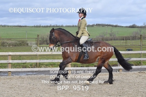 BPP_9519 - RING 2 - M&M