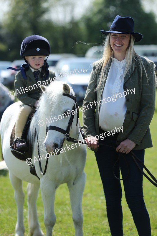 20250427-2692 - Class 6 - Pony Judge Would Most Like To Take Home