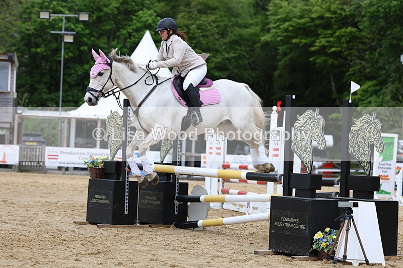 3E7A6282 - Class 4: Senior British Novice/90cm open