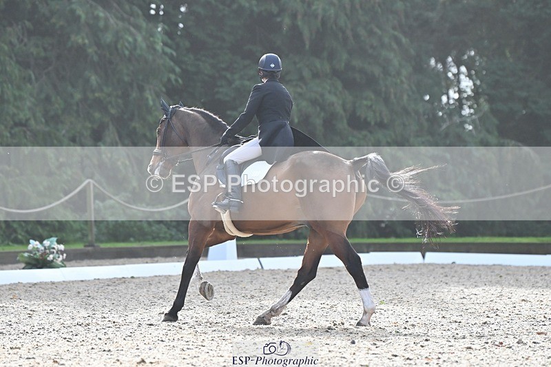 231019-110554-02040 - 105-BRIGHT.KNIGHT.III-Janet.Clarke-DR