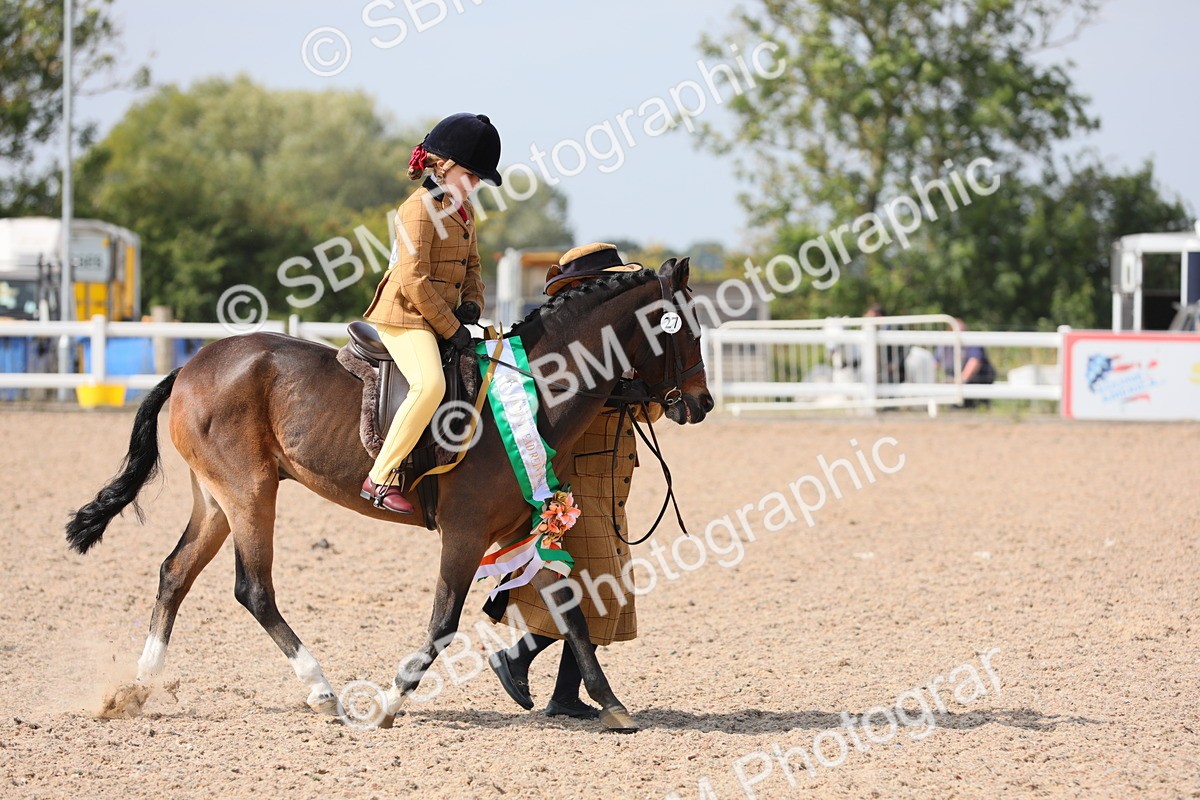 SBM_14130 - Class 309 Lead Rein Pony