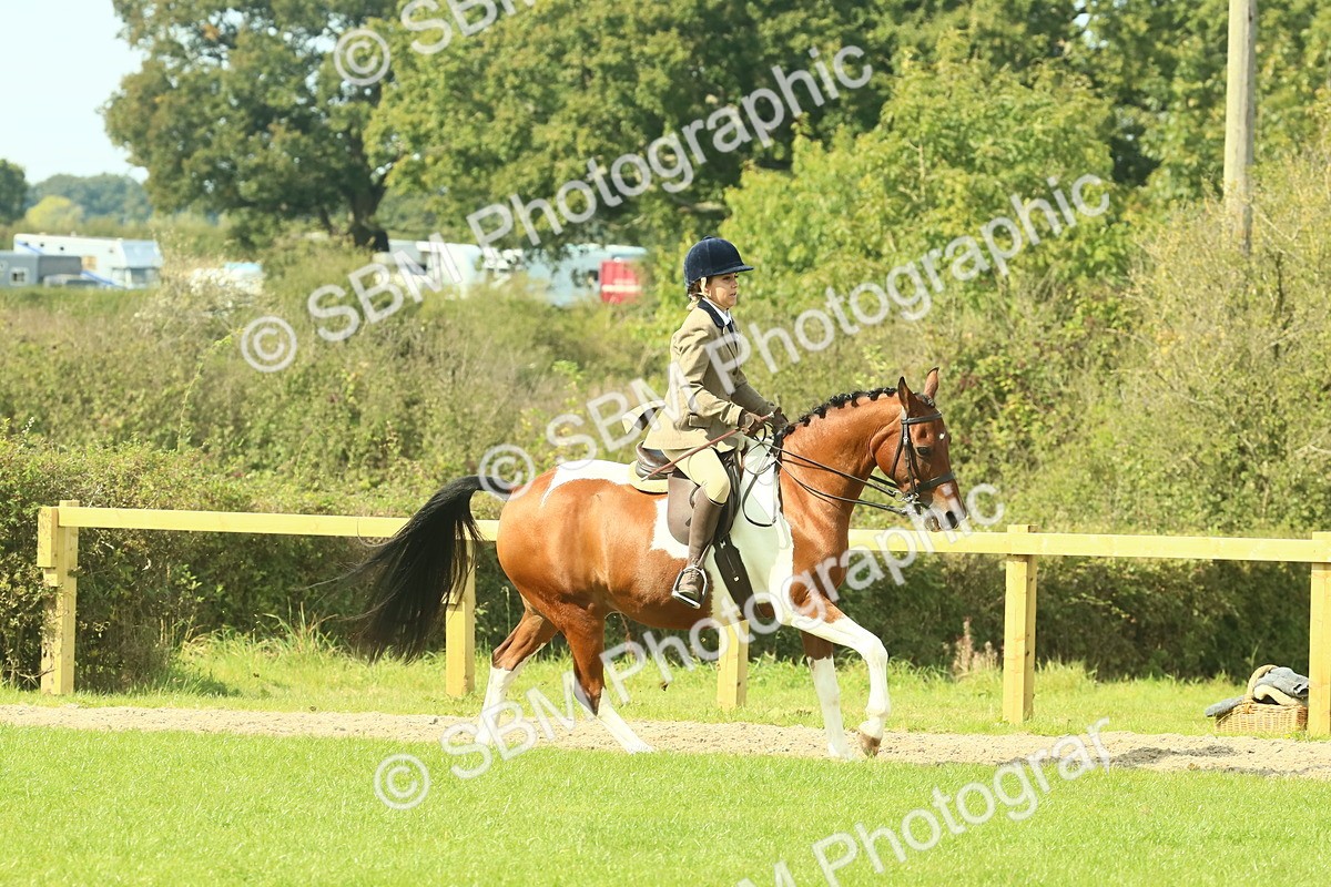 SBM_67448 - S56 - Coloured Pony Ridden