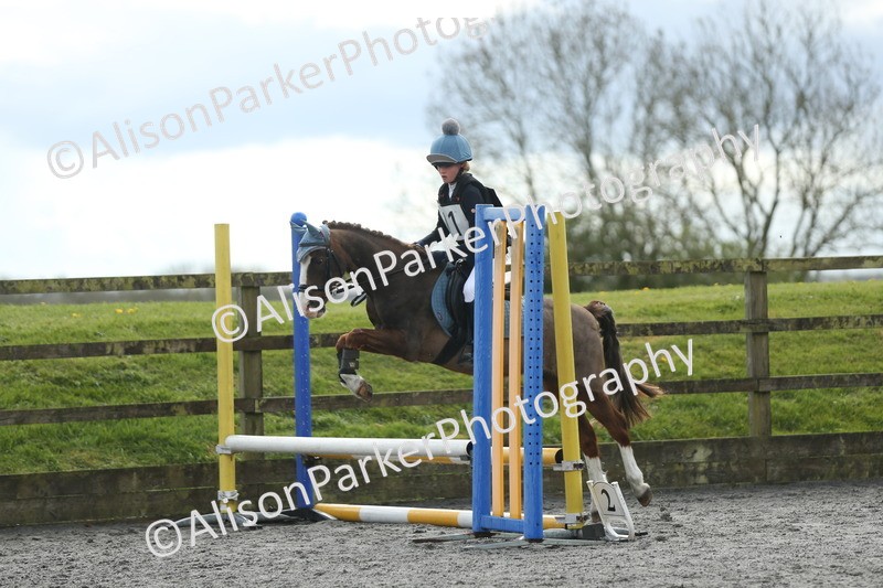 20260412-1711 - Show Jumping