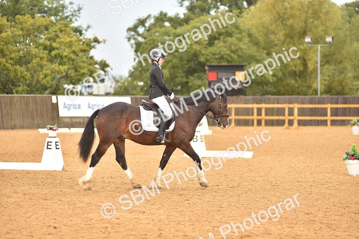 SBM_02143 - D7 - Small Tour Championship Prelim 2