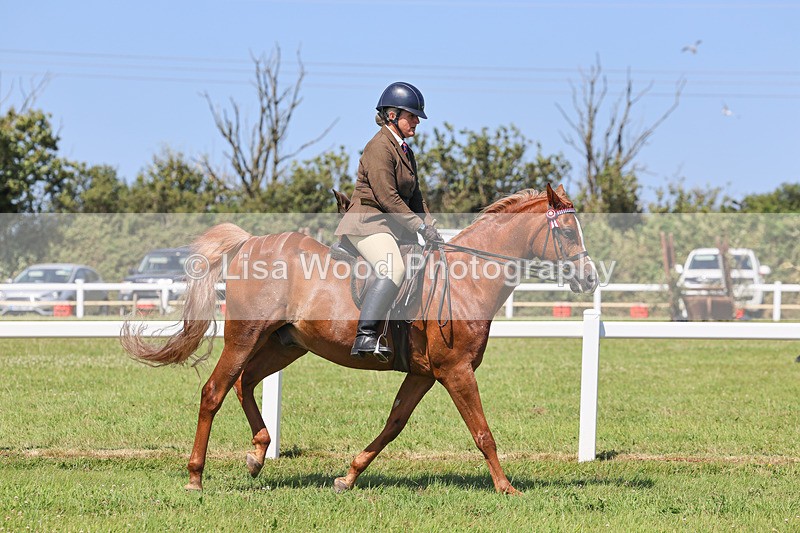 IMG_2252 - Class 37: Pure, Anglo & Part Bred Ridden Arab