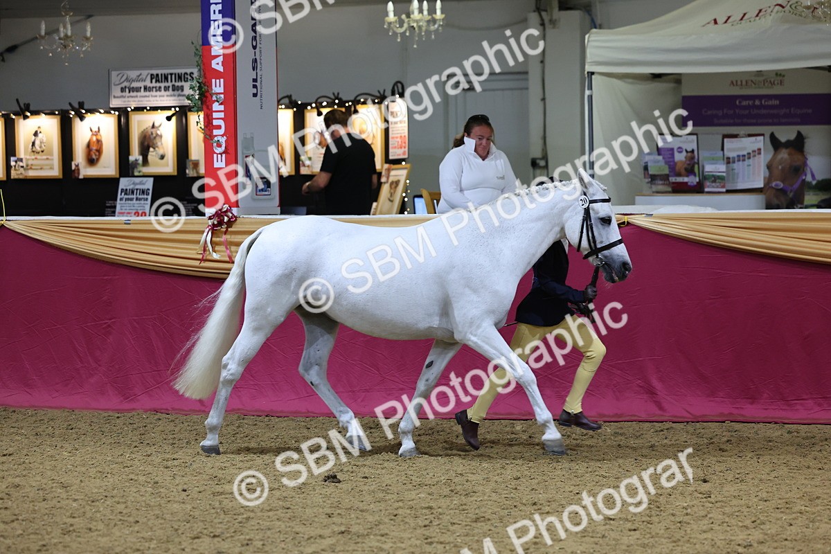 SBM_18466 - Class A Junior Champ 10 Years and Under