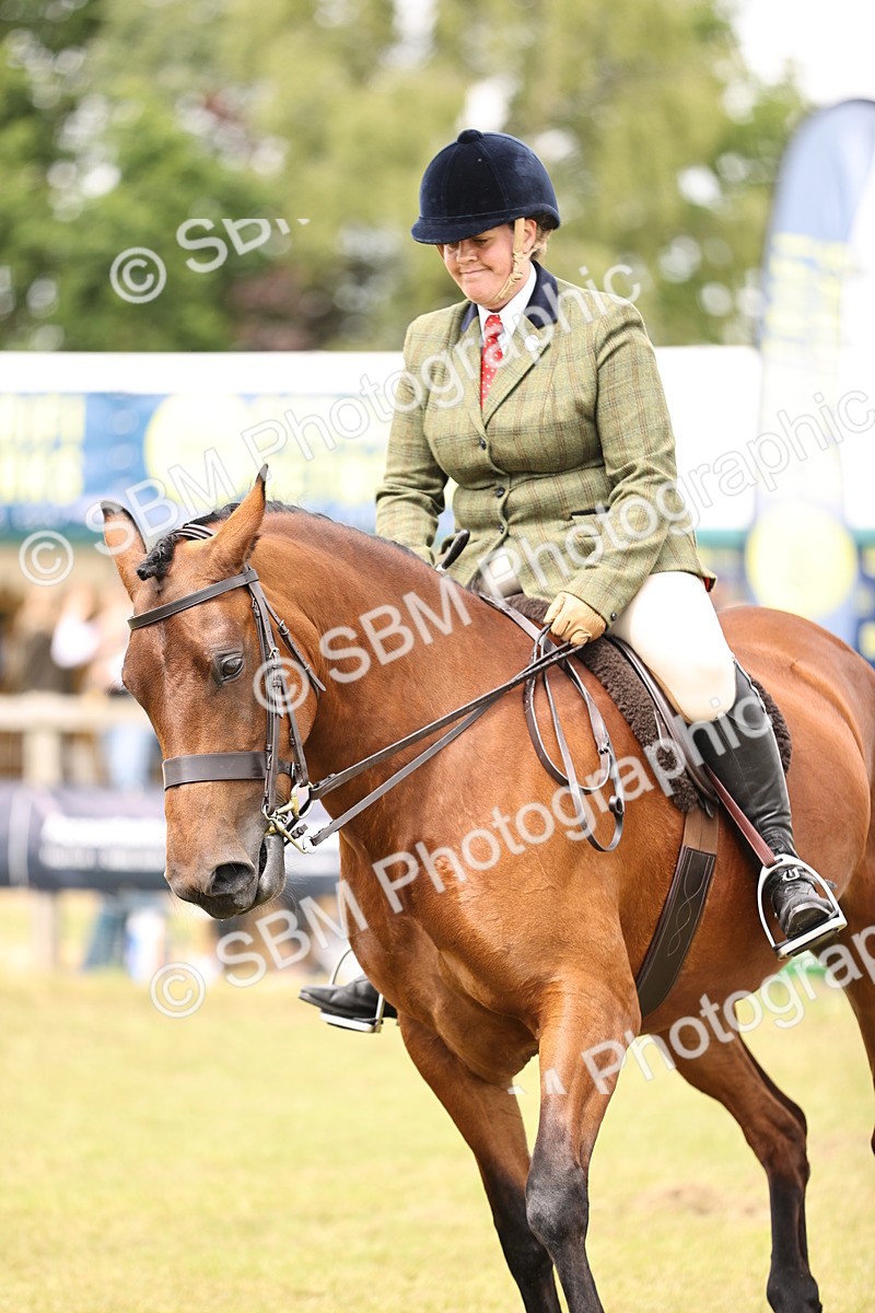 SBM_14600 - Class 88-89 - LIHS BSHA Rising Star of Ridden Hunter Type