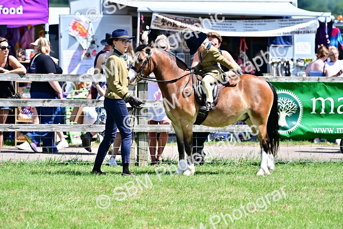 SBM_05835 - Class 59-60 - TSR M&M  Lear Rein and First Ridden Amateur of the year