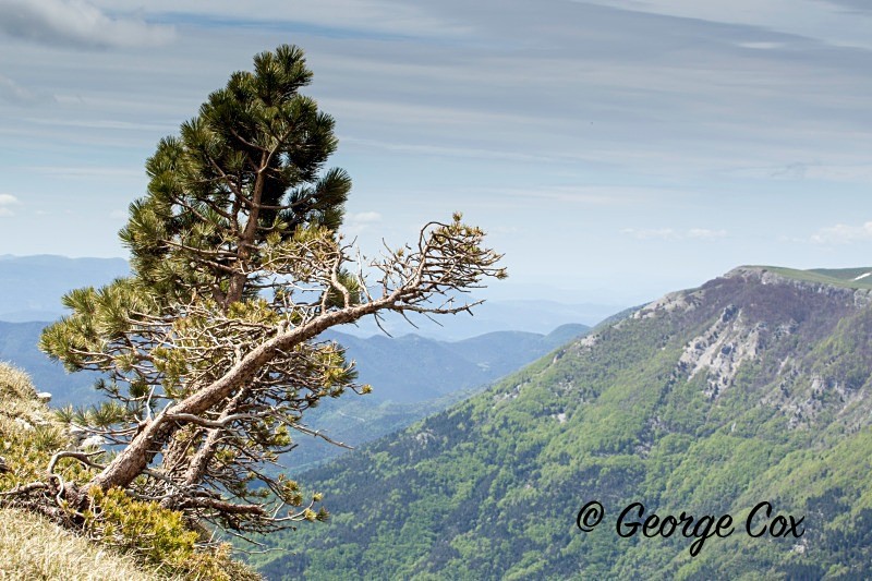 Vercors Font D'Urle - Vercors Landscapes