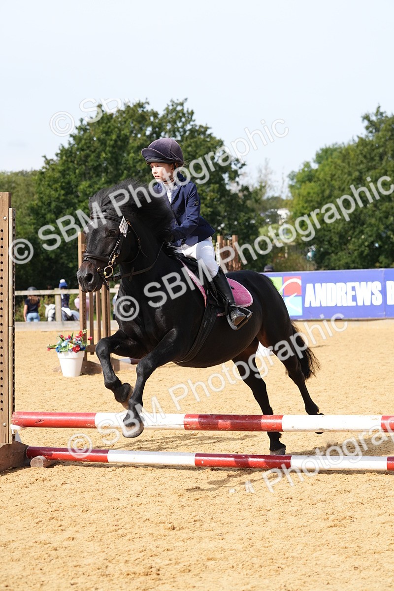 SBM_68374 - J3 - Mini Tour Junior Pony 40cm Championship