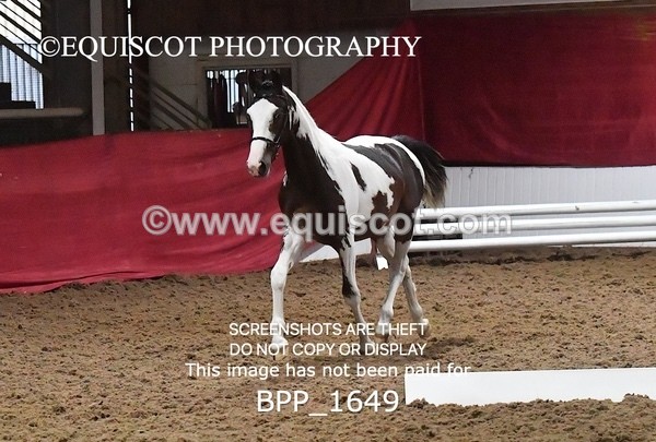 BPP_1649 - MORNING 9AM - 12PM