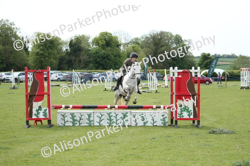 20260426-2103 - Class 15 - Absolute Novice 70cm